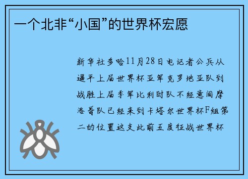 一个北非“小国”的世界杯宏愿